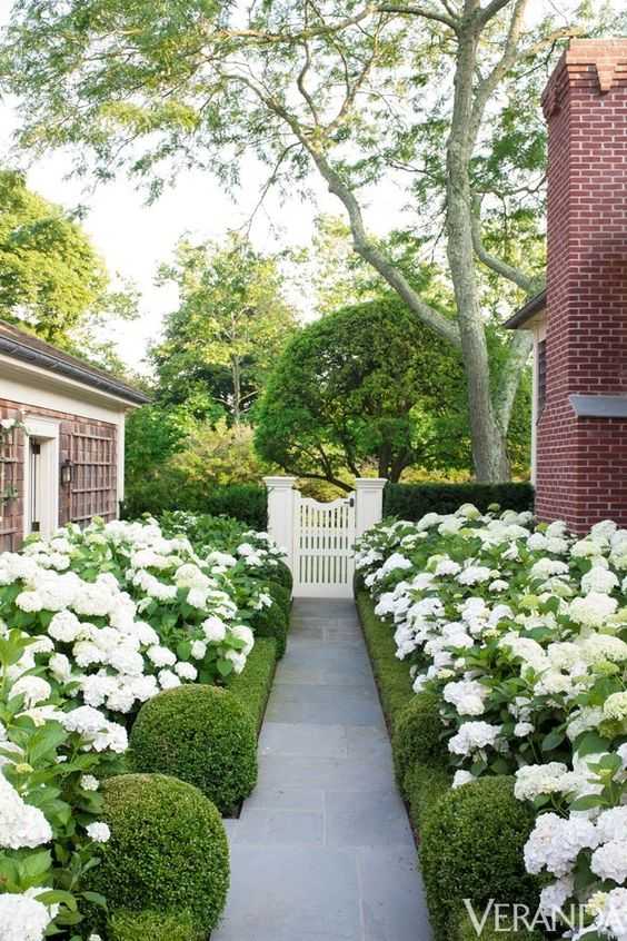 Line your pathway with hydrangeas and manicured hedges for a sophisticated aesthetic. Via Veranda