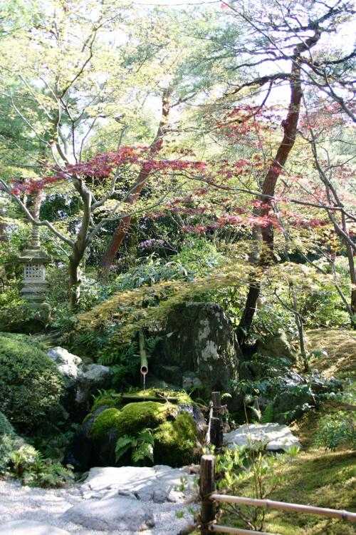 35 Fascinating Japanese Garden Design Ideas - Click on image to see more.