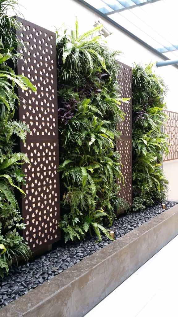 Creatice Plant Fence Ideas for Simple Design