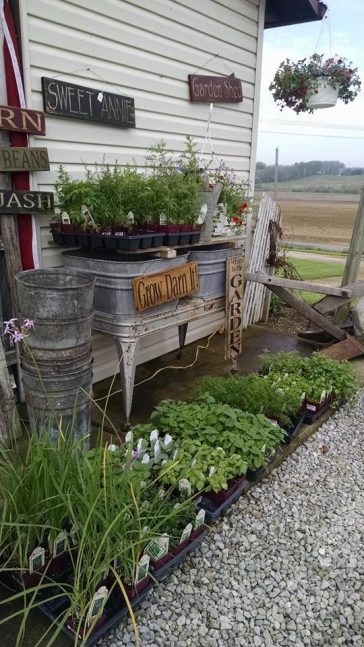 30 Simple And Rustic DIY Ideas For Your Backyard And Garden - Page 3 ...