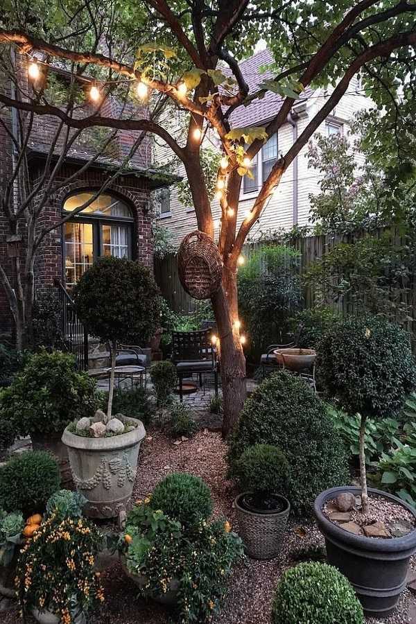 front yard ideas on a budget11