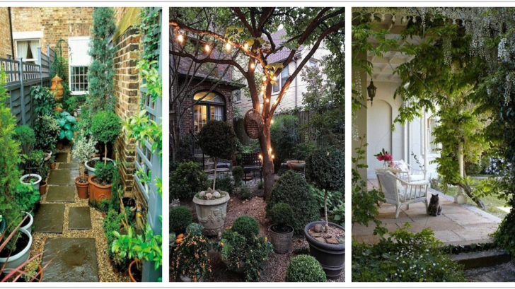 Front Yard Archives - Gardenholic