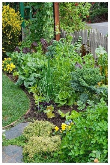 Gorgeous Low Maintenance Front Yard Ideas Page Gardenholic