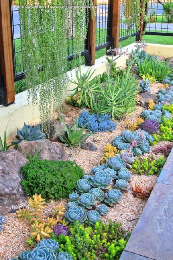 30 Gorgeous Low Maintenance Front Yard Ideas Page 25 Gardenholic