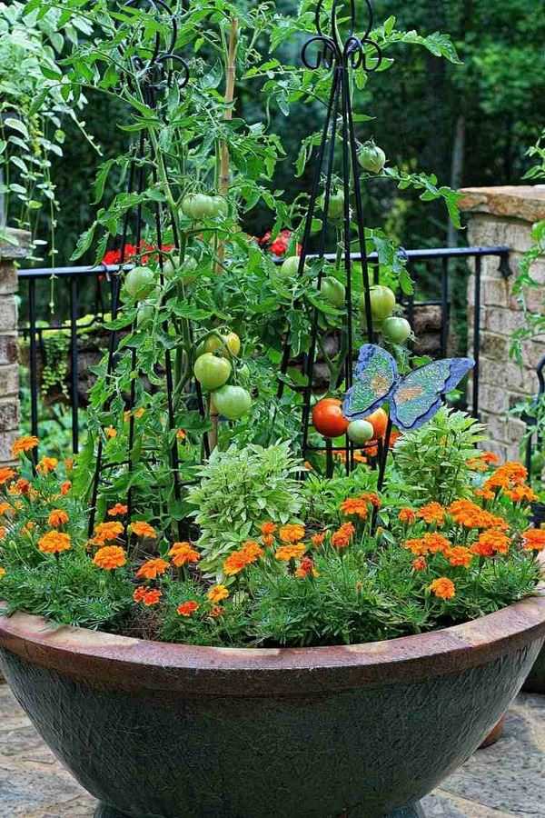 vegetable garden design2