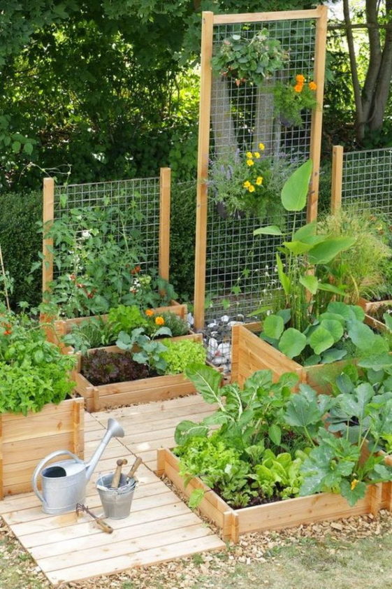 30 Ideas On How To Grow A Vegetable Garden In Your Homes - Page 23