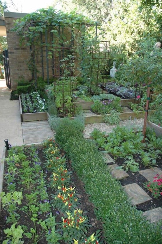 30 Ideas On How To Grow A Vegetable Garden In Your Homes - Page 26 ...