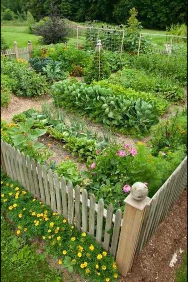 vegetable garden design28