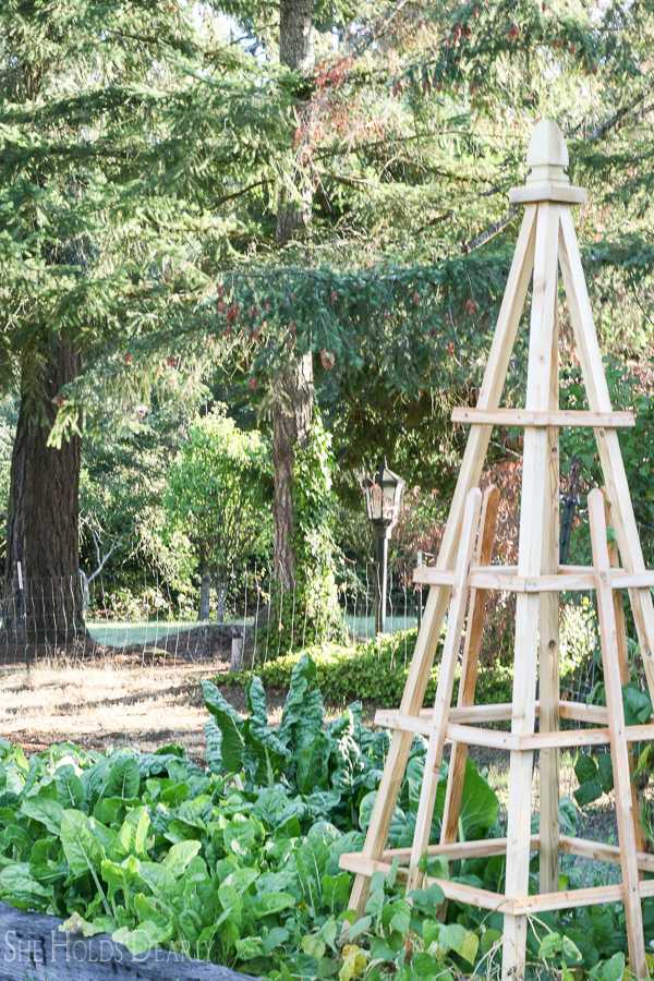 30 Great Vegetable Garden Ideas