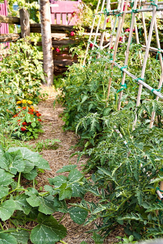 30 Great Vegetable Garden Ideas