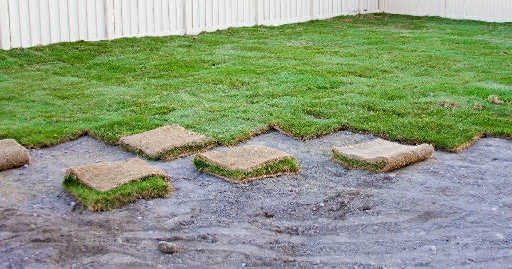 Fences can help prevent foot traffic from walking on the new sod