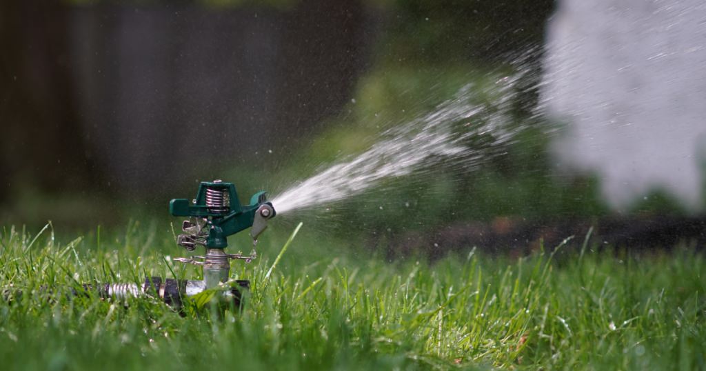 Watering after aeration with a sprinkler makes things more effective!