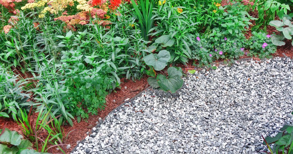 A picture of a garden bed with different types of mulch
